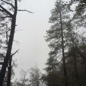 Meet your Posher, Kasey